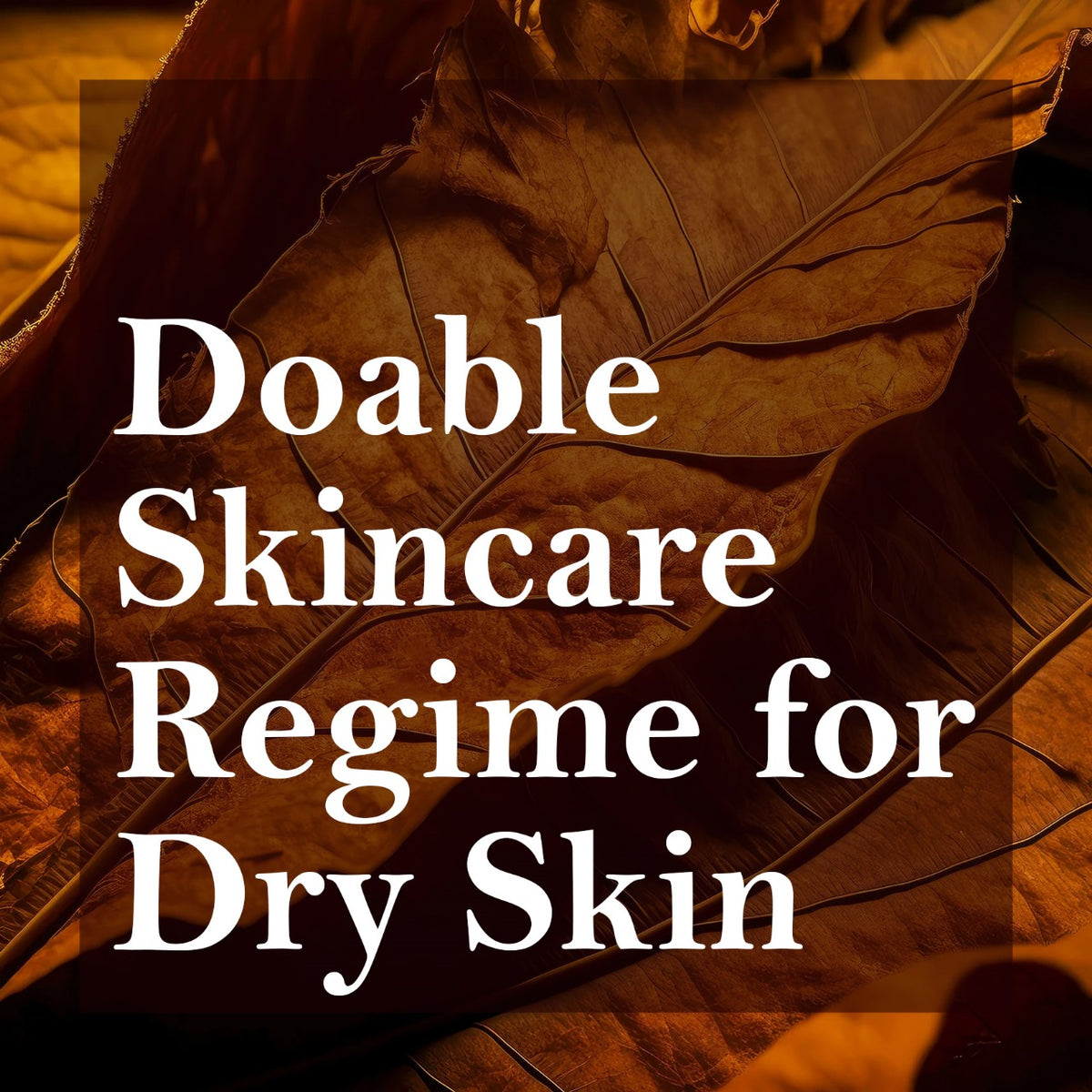 Doable Skincare Regime For Dry Skin Aromatic Garden Essence 1122